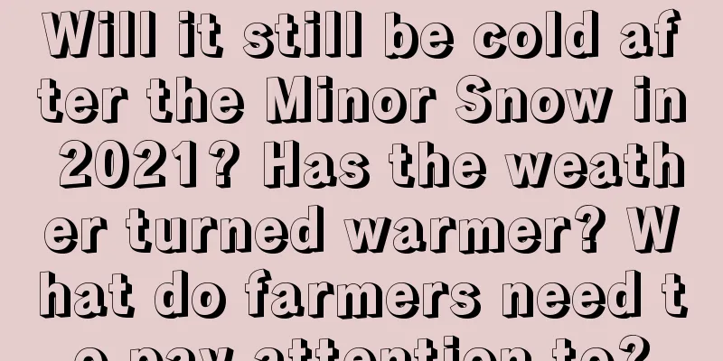 Will it still be cold after the Minor Snow in 2021? Has the weather turned warmer? What do farmers need to pay attention to?