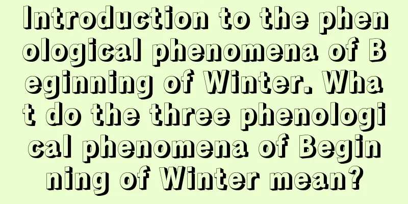Introduction to the phenological phenomena of Beginning of Winter. What do the three phenological phenomena of Beginning of Winter mean?