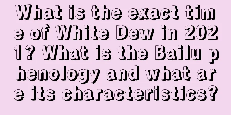 What is the exact time of White Dew in 2021? What is the Bailu phenology and what are its characteristics?
