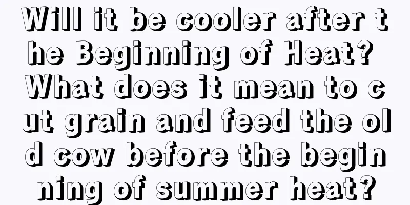 Will it be cooler after the Beginning of Heat? What does it mean to cut grain and feed the old cow before the beginning of summer heat?