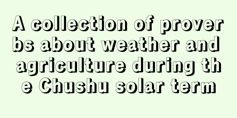 A collection of proverbs about weather and agriculture during the Chushu solar term
