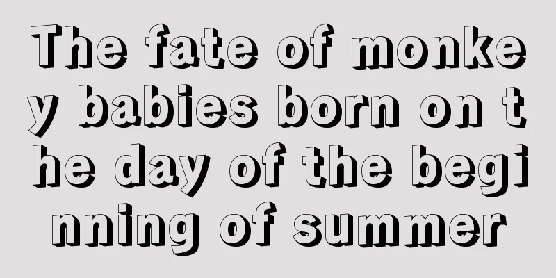 The fate of monkey babies born on the day of the beginning of summer