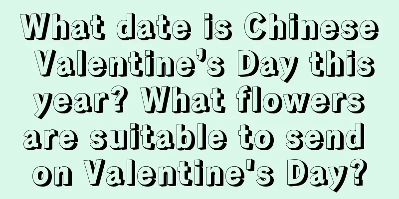 What date is Chinese Valentine’s Day this year? What flowers are suitable to send on Valentine's Day?
