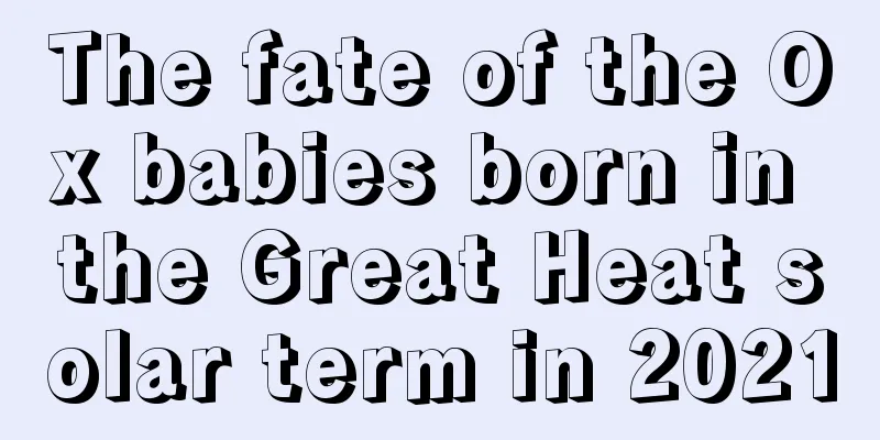The fate of the Ox babies born in the Great Heat solar term in 2021