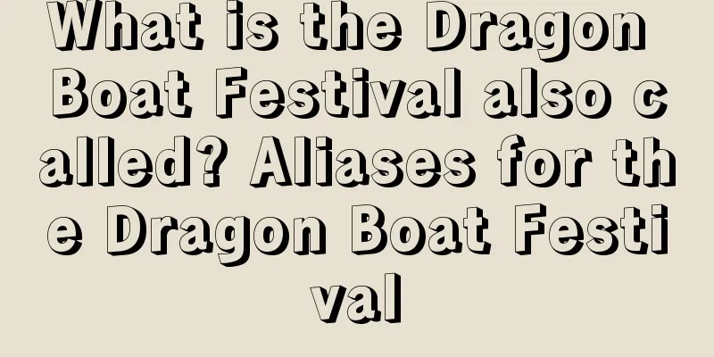 What is the Dragon Boat Festival also called? Aliases for the Dragon Boat Festival