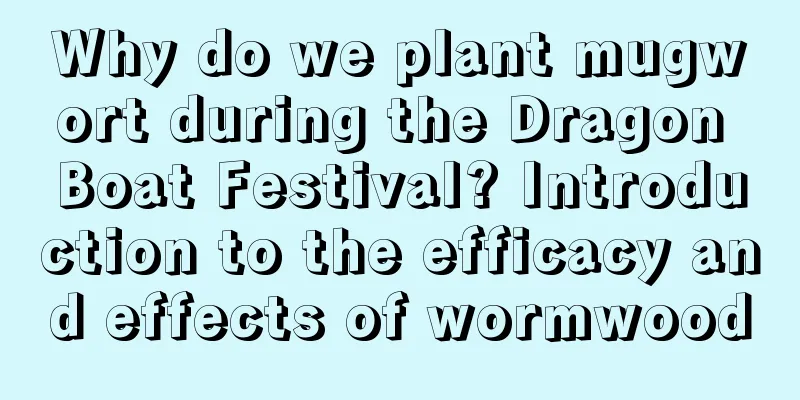 Why do we plant mugwort during the Dragon Boat Festival? Introduction to the efficacy and effects of wormwood