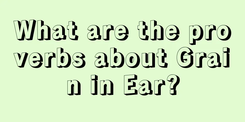 What are the proverbs about Grain in Ear?