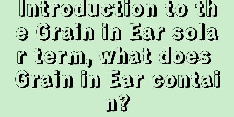 Introduction to the Grain in Ear solar term, what does Grain in Ear contain?