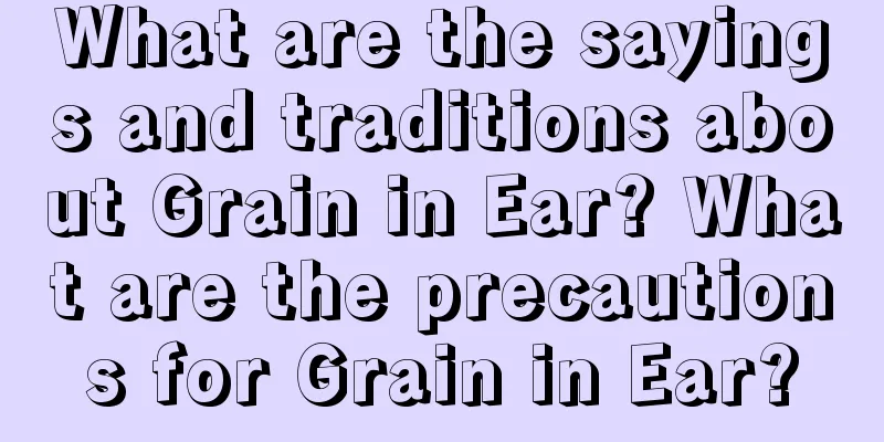 What are the sayings and traditions about Grain in Ear? What are the precautions for Grain in Ear?