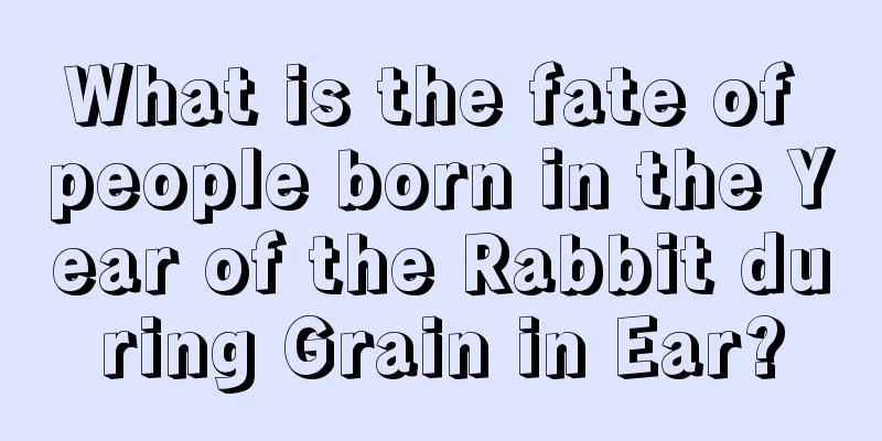 What is the fate of people born in the Year of the Rabbit during Grain in Ear?