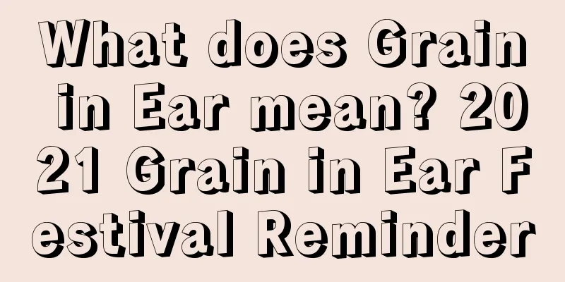 What does Grain in Ear mean? 2021 Grain in Ear Festival Reminder