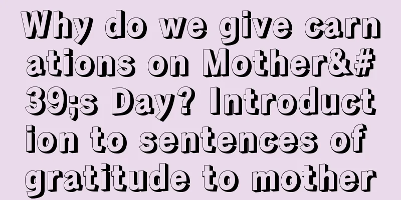 Why do we give carnations on Mother's Day? Introduction to sentences of gratitude to mother