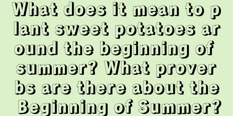 What does it mean to plant sweet potatoes around the beginning of summer? What proverbs are there about the Beginning of Summer?