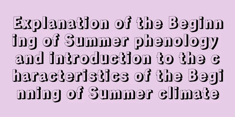 Explanation of the Beginning of Summer phenology and introduction to the characteristics of the Beginning of Summer climate