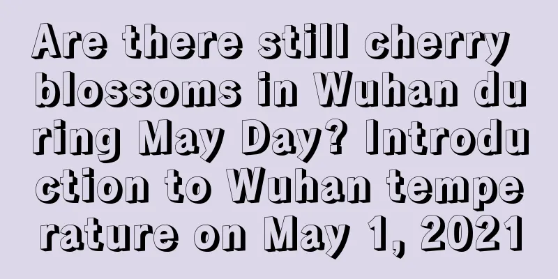 Are there still cherry blossoms in Wuhan during May Day? Introduction to Wuhan temperature on May 1, 2021