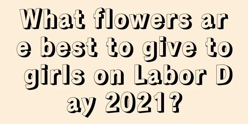 What flowers are best to give to girls on Labor Day 2021?