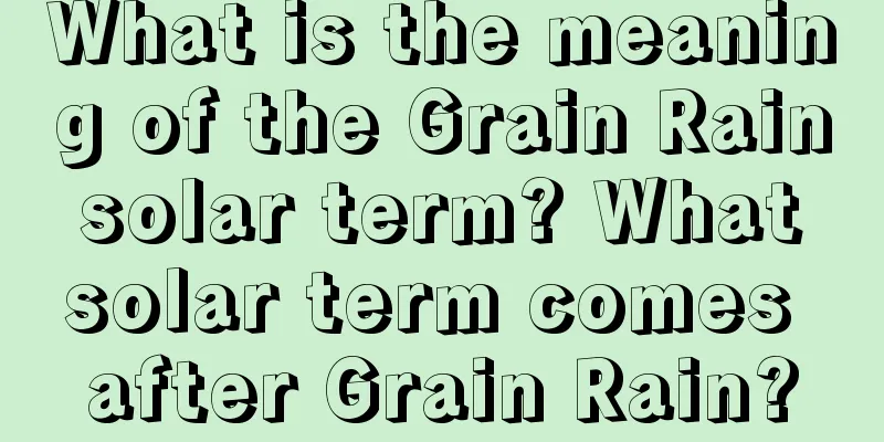 What is the meaning of the Grain Rain solar term? What solar term comes after Grain Rain?