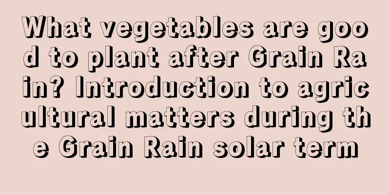 What vegetables are good to plant after Grain Rain? Introduction to agricultural matters during the Grain Rain solar term