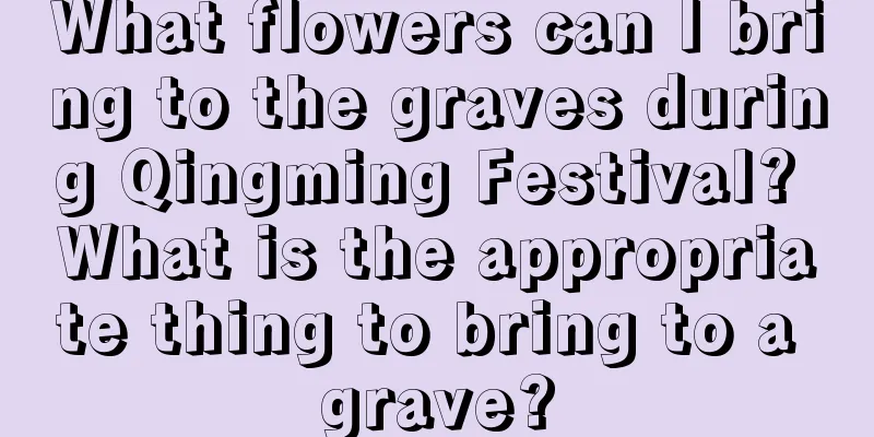 What flowers can I bring to the graves during Qingming Festival? What is the appropriate thing to bring to a grave?