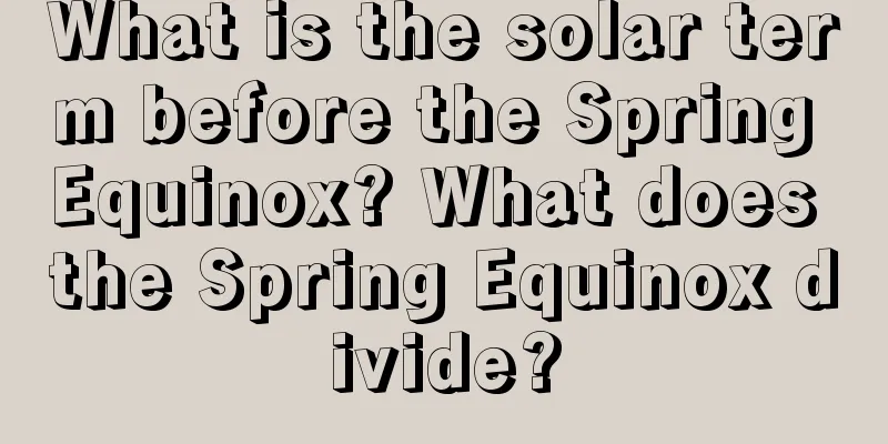 What is the solar term before the Spring Equinox? What does the Spring Equinox divide?