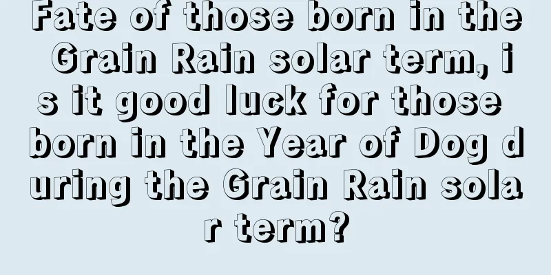 Fate of those born in the Grain Rain solar term, is it good luck for those born in the Year of Dog during the Grain Rain solar term?