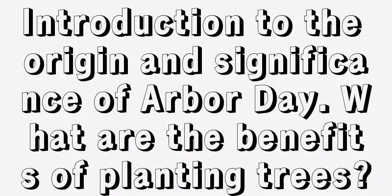 Introduction to the origin and significance of Arbor Day. What are the benefits of planting trees?