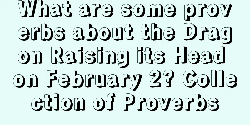 What are some proverbs about the Dragon Raising its Head on February 2? Collection of Proverbs