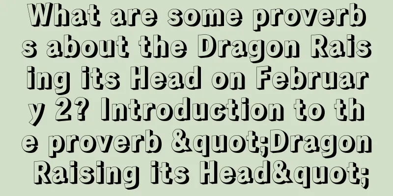 What are some proverbs about the Dragon Raising its Head on February 2? Introduction to the proverb "Dragon Raising its Head"