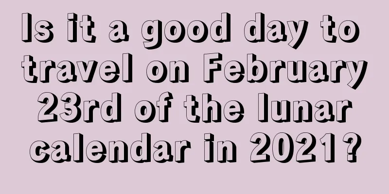 Is it a good day to travel on February 23rd of the lunar calendar in 2021?