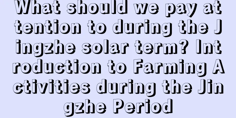 What should we pay attention to during the Jingzhe solar term? Introduction to Farming Activities during the Jingzhe Period