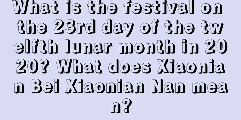 What is the festival on the 23rd day of the twelfth lunar month in 2020? What does Xiaonian Bei Xiaonian Nan mean?