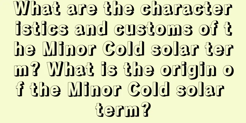 What are the characteristics and customs of the Minor Cold solar term? What is the origin of the Minor Cold solar term?