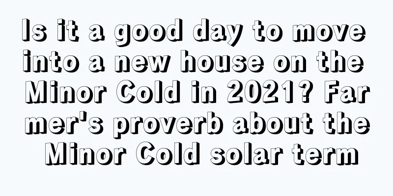 Is it a good day to move into a new house on the Minor Cold in 2021? Farmer's proverb about the Minor Cold solar term