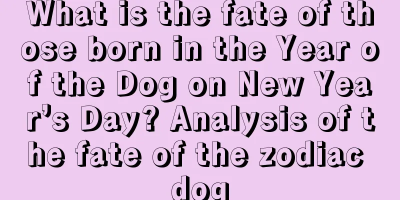 What is the fate of those born in the Year of the Dog on New Year’s Day? Analysis of the fate of the zodiac dog