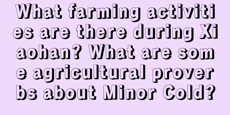 What farming activities are there during Xiaohan? What are some agricultural proverbs about Minor Cold?