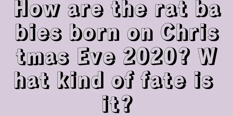 How are the rat babies born on Christmas Eve 2020? What kind of fate is it?