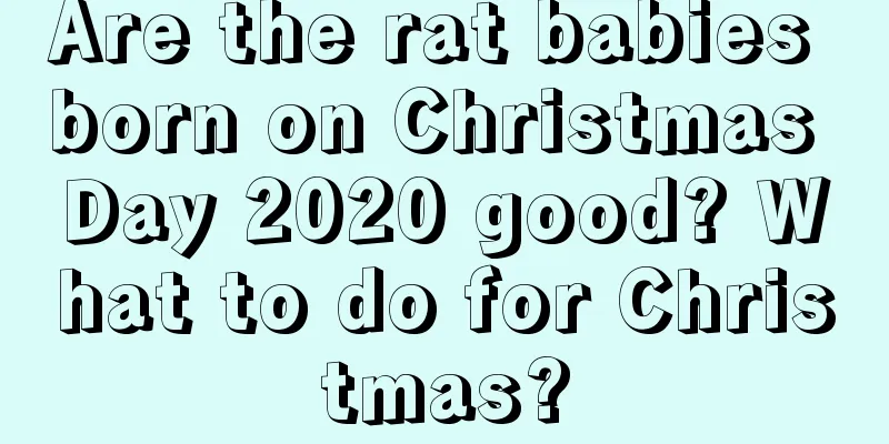 Are the rat babies born on Christmas Day 2020 good? What to do for Christmas?