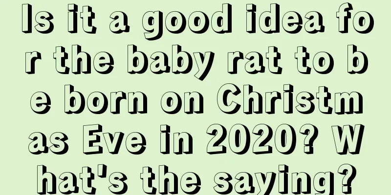 Is it a good idea for the baby rat to be born on Christmas Eve in 2020? What's the saying?
