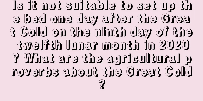 Is it not suitable to set up the bed one day after the Great Cold on the ninth day of the twelfth lunar month in 2020? What are the agricultural proverbs about the Great Cold?