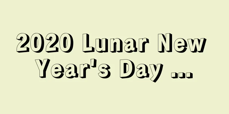 2020 Lunar New Year's Day ...