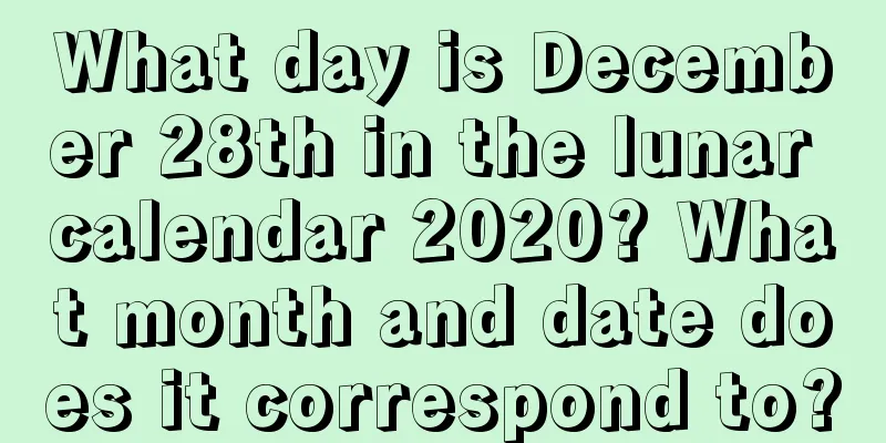 What day is December 28th in the lunar calendar 2020? What month and date does it correspond to?