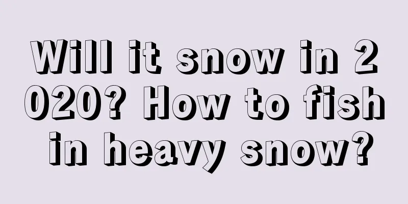 Will it snow in 2020? How to fish in heavy snow?