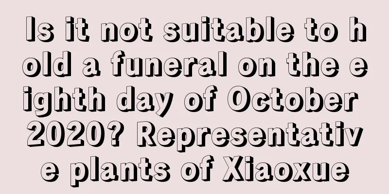 Is it not suitable to hold a funeral on the eighth day of October 2020? Representative plants of Xiaoxue