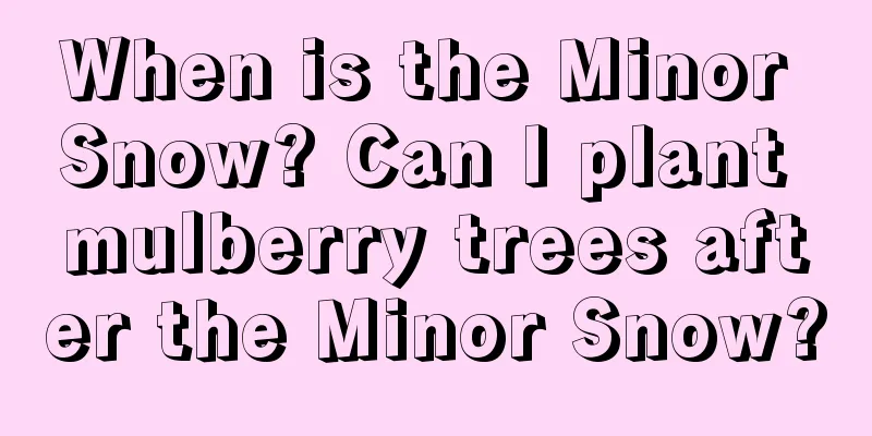 When is the Minor Snow? Can I plant mulberry trees after the Minor Snow?