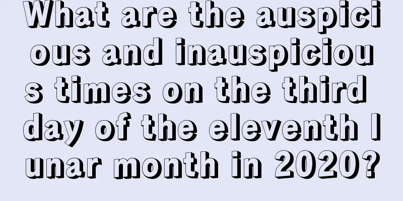 What are the auspicious and inauspicious times on the third day of the eleventh lunar month in 2020?