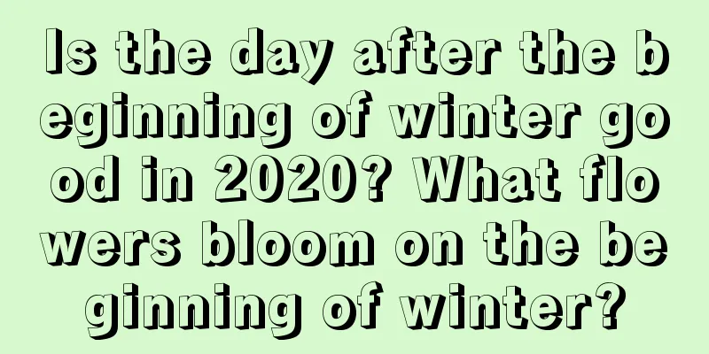 Is the day after the beginning of winter good in 2020? What flowers bloom on the beginning of winter?