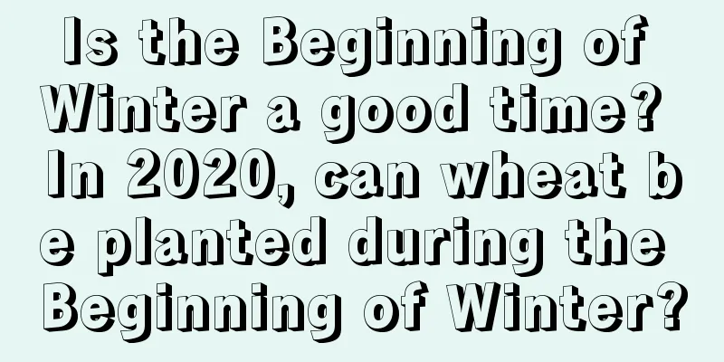 Is the Beginning of Winter a good time? In 2020, can wheat be planted during the Beginning of Winter?