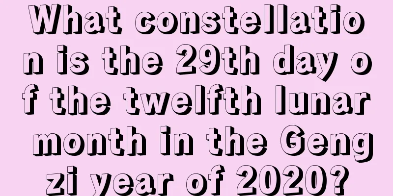 What constellation is the 29th day of the twelfth lunar month in the Gengzi year of 2020?