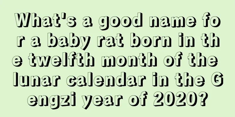 What's a good name for a baby rat born in the twelfth month of the lunar calendar in the Gengzi year of 2020?