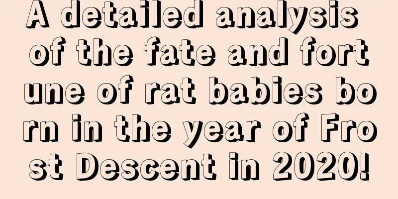 A detailed analysis of the fate and fortune of rat babies born in the year of Frost Descent in 2020!